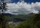 Wa'ahila Ridge Trail